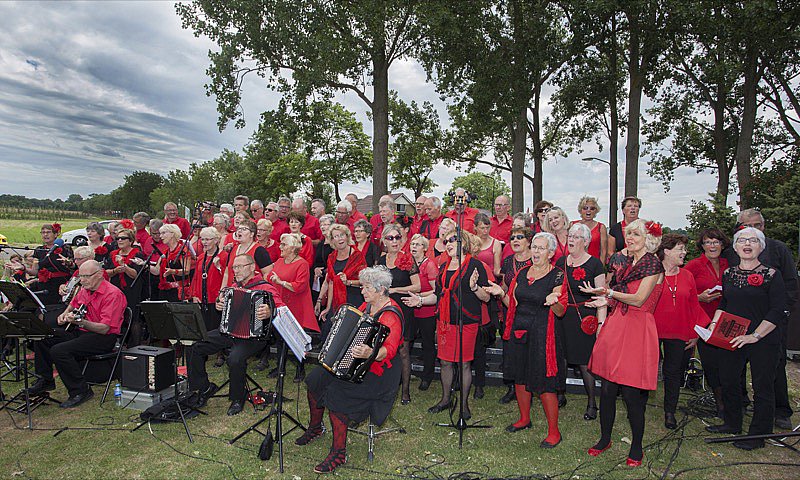 Benefietconcert Hagedonk 11 juni 2017-foto's Cor Viveen