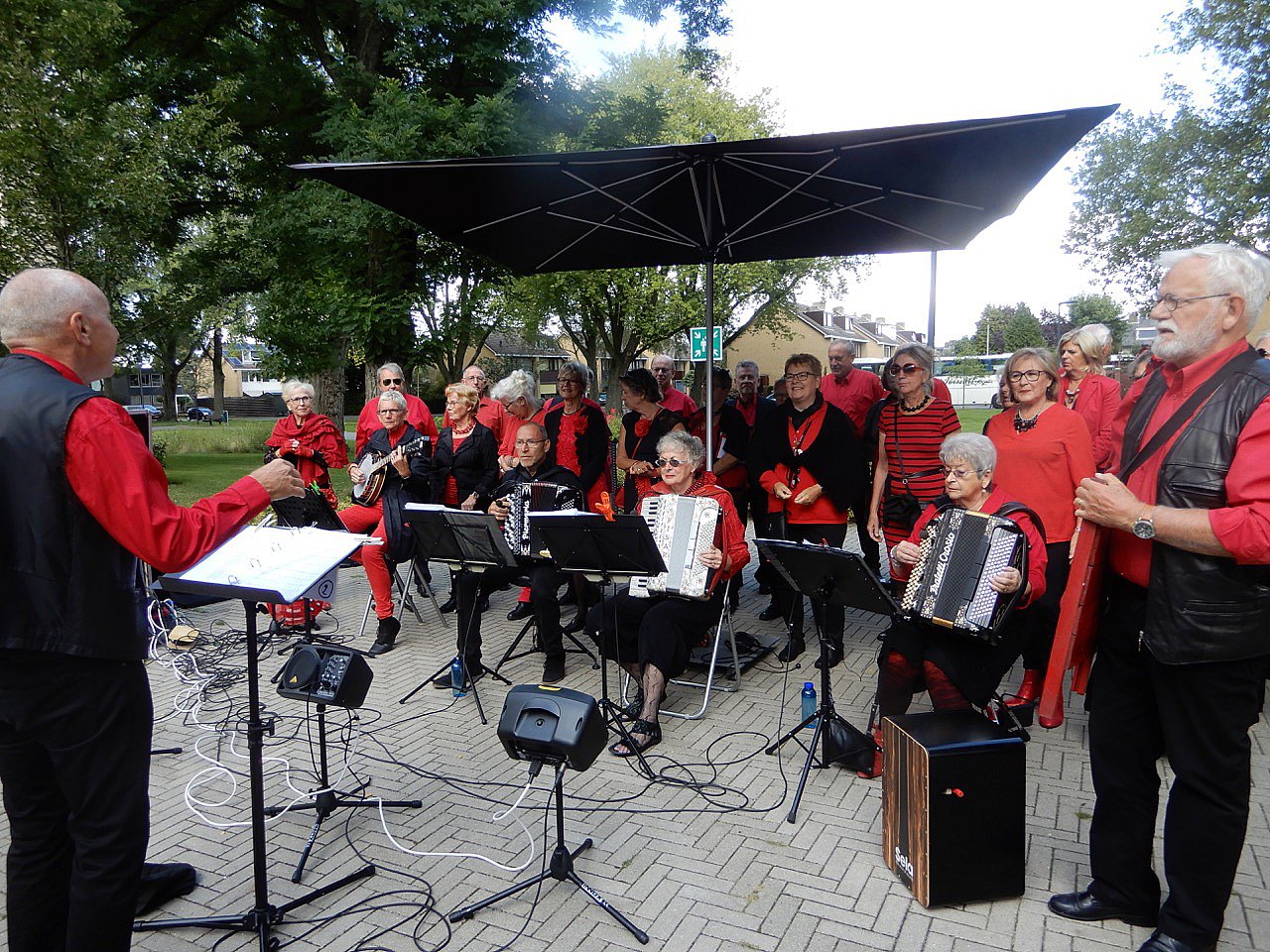 Optreden Thebe-IJpelaar Verwenzorgweek - foto's Lucie